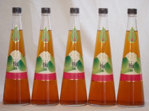 国内産梅100% 手造り梅酒(宮崎県)720ml×5本