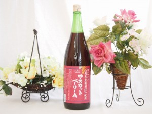 山梨県産葡萄100%使用 マスカットベリーA ライトボディ 赤ワイン 1800ml×1本