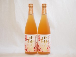 熟成梅酒 高千穂産梅使用 高千穂酒造(宮崎県)720ml×2本