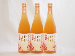 熟成梅酒 高千穂産梅使用 高千穂酒造(宮崎県)720ml×3本