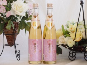 モンドセレクション受賞蔵 樽熟梅酒 天空の月 老松酒造(大分県)500ml×2