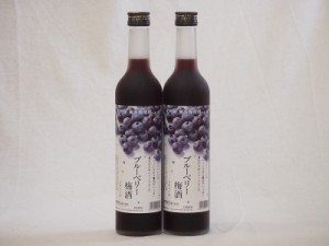 紀州産 南高梅使用 ブルーベリー梅酒(和歌山県) 500ml×2