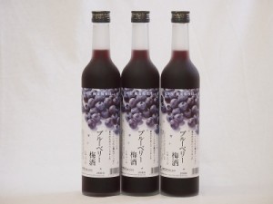 紀州産 南高梅使用 ブルーベリー梅酒(和歌山県) 500ml×3