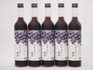 紀州産 南高梅使用 ブルーベリー梅酒(和歌山県) 500ml×5