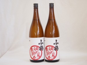 濱田酒造 芋の臭さがたまらない 初心者お断り 25度 (鹿児島県) 1800ml×2