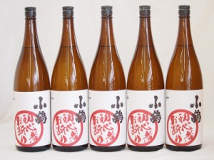 濱田酒造 芋の臭さがたまらない 初心者お断り 25度 (鹿児島県) 1800ml×5