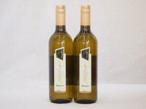 イタリア白ワイン チェヴィコ　ブルーサ ビアンコ 750ml×2