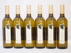 イタリア白ワイン チェヴィコ　ブルーサ ビアンコ 750ml×6