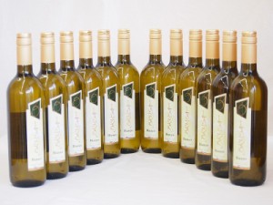イタリア白ワイン チェヴィコ　ブルーサ ビアンコ 750ml×12