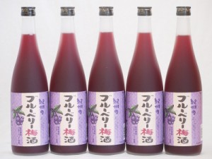 紀州のブルーベリー梅酒 中野BC(和歌山県)720ml×5本