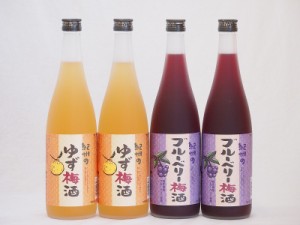 果物梅酒セット ブルーベリー梅酒×ゆず梅酒 中野BC(和歌山県)720ml×4本