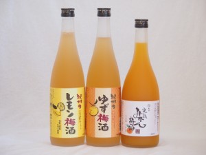 果物梅酒セット レモン梅酒×ゆず梅酒×完熟みかん梅酒 中野BC(和歌山県)720ml×3本