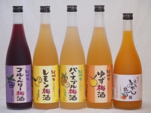 果物梅酒セット レモン×パイナップル×ゆず×ブルーベリー×完熟みかん 中野BC(和歌山県)720ml×5本