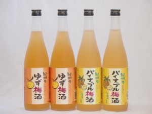 果物梅酒セット パイナップル×ゆず 中野BC(和歌山県)720ml×4本