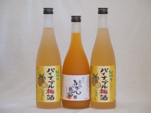 果物梅酒セット パイナップル×ゆず×みかん　中野BC(和歌山県)720ml×3本