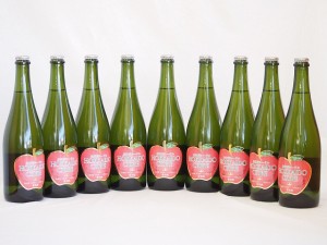 9本セット(北海道余市産りんご100%シードル スパークリングワイン alc.5.5% やや甘口) 750ml×9本