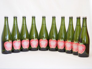 10本セット(北海道余市産りんご100%シードル スパークリングワイン alc.5.5% やや甘口) 750ml×10本