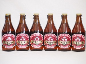 6本セット(尾張名古屋クラフトビール ミツボシウインナースタイルラガーalc.6%金しゃち) 330ml×6本