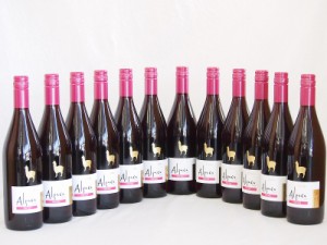 12本セット(チリ赤ワイン アルパカピノ・ノワール) 750ml×12本