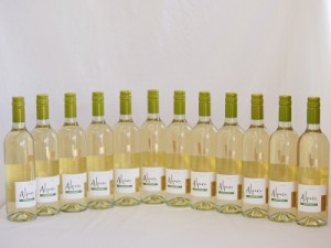 12本セット(チリ白ワイン アルパカソーヴィニヨン・ブラン(チリ)) 750ml×12本