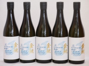 5本セット(愛知県日本酒 金鯱 寒造りしぼりたて生貯特別純米) 720ml×5本