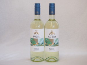 2本セット(イタリア白ワイン ボンゴ・サンレオ・ビアンコ) 750ml×2本