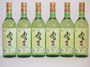 6本セット(国産白ワイン おたる生葡萄 デラウエアやや甘口(北海道)) 720ml×6本