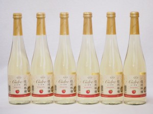 信州林檎 シードル スパークリングワインセット 信州産100% やや甘口(長野県)500ml×6