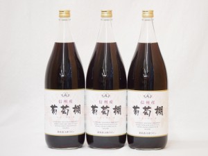 日本ワインセット 信州産葡萄棚 赤ワインセット 中口(長野県)1800ml×3