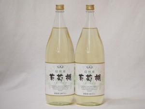 日本ワインセット 信州産葡萄棚 白ワインセット 中口(長野県)1800ml×2