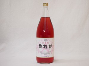 日本ワイン 信州産葡萄棚 ロゼワイン 中口(長野県)1800ml×1