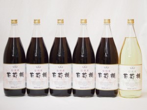 信州産葡萄棚セット 赤ワイン×5本  白ワイン×1本 中口(長野県)1800ml×6