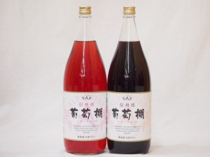 信州産葡萄棚セット 赤ワイン×1本  ロゼワイン×1本 中口(長野県)1800ml×2