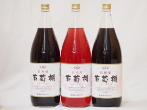 信州産葡萄棚セット 赤ワイン×2本  ロゼワイン×1本 中口(長野県)1800ml×3