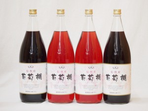 信州産葡萄棚セット 赤ワイン×2本  ロゼワイン×2本 中口(長野県)1800ml×4