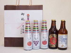 贈り物クラフトビールとリキュール5本セット(ヒュヴァ リンゴサワーalc.5% ヒュヴァ 巨峰サワーalc.5% ヒュヴァ 清見サワーalc.5% プラチ