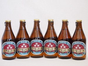 名古屋クラフトビール6本セット(ミツボシピルスナー) 330ml×6本