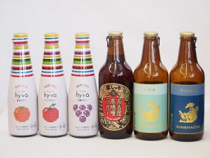 クラフトビールとリキュール6本セット(ヒュヴァ リンゴサワーalc.5% ヒュヴァ 巨峰サワーalc.5% ヒュヴァ 清見サワーalc.5% ピルスナー 