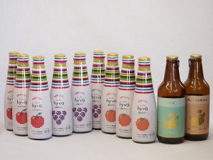 クラフトビールとリキュール11本セット(ヒュヴァ リンゴサワーalc.5% ヒュヴァ 巨峰サワーalc.5% ヒュヴァ 清見サワーalc.5% インディア