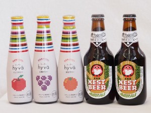 クラフトビールとリキュール5本セット(ヒュヴァ リンゴサワーalc.5% ヒュヴァ 巨峰サワーalc.5% ヒュヴァ 清見サワーalc.5% アンバーエー