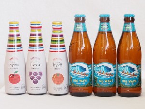 クラフトビールとリキュール6本セット(ヒュヴァ リンゴサワーalc.5% ヒュヴァ 巨峰サワーalc.5% ヒュヴァ 清見サワーalc.5% ビッグウェー