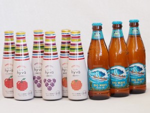 コナビールとリキュール9本セット(ヒュヴァ リンゴサワーalc.5% ヒュヴァ 巨峰サワーalc.5% ヒュヴァ 清見サワーalc.5% ビッグウェーブ・