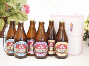 夏の贈り物お中元 ミツボシビール飲み比べ６本(ミツボシビール（ピルスナー、ペールエール、ウインナスタイルラガー）３３０ｍｌ×各２)