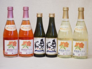 スパークリング日本酒×スパークリングワイン(奥の松純米大吟醸290ml2本 北海道おたるナイアガラ500ml白2本ロゼ2本)計6本