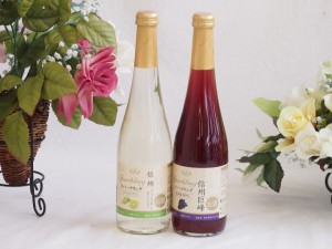 国産フルーツワイン2本セット(シャインマスカット＆ナイアガラ 信州巨峰) 500ml×2本