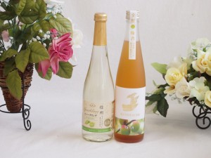 l果物酒2本セット(シャインマスカット＆ナイアガラ 日本酒仕込梅酒) 500ml×2本