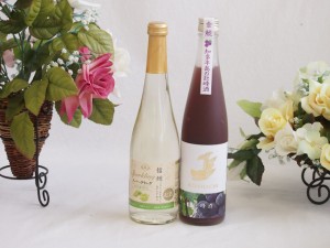 l果物酒2本セット(シャインマスカット＆ナイアガラ 知多半島の巨峰) 500ml×2本