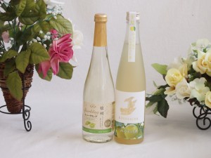 l果物酒2本セット(シャインマスカット＆ナイアガラ ベルガモット酒) 500ml×2本