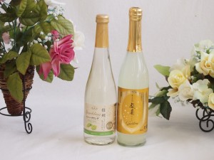 l果物酒2本セット(シャインマスカット＆ナイアガラ 梨園スパークリング) 500ml×2本