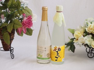 l果物酒2本セット(シャインマスカット＆ナイアガラ 柚子っこ) 500ml×2本